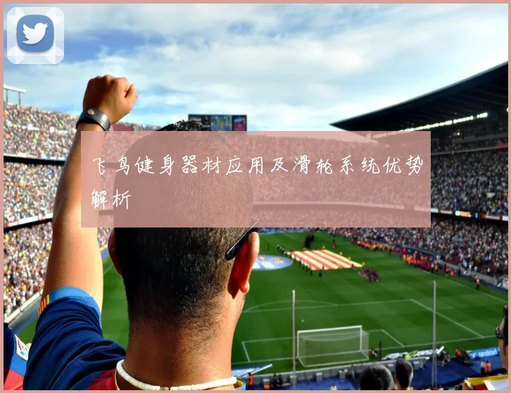飞鸟健身器材应用及滑轮系统优势解析